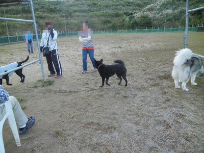 welina-dogpark