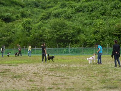 welina-dogpark