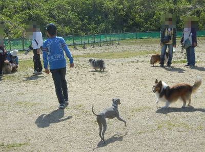 welina-dogpark