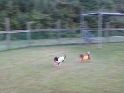 IMG_0083.JPG