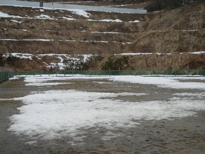 welina-dogpark