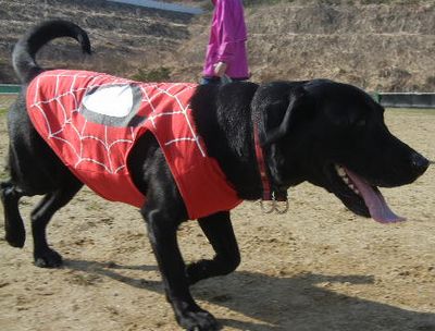 welina-dogpark